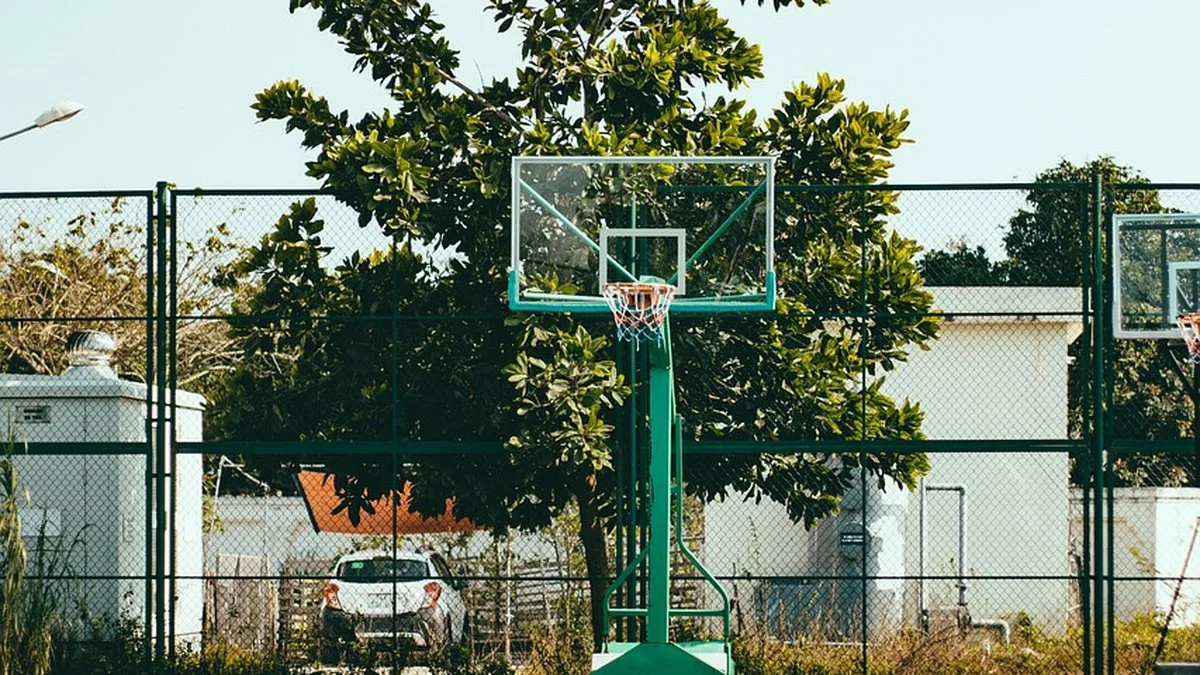 A'ja威尔逊领跑WNBA奖项追踪心理压力与关键时刻观察